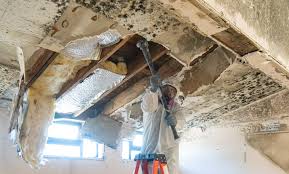 Best Mold Prevention Services in Los Altos, CA